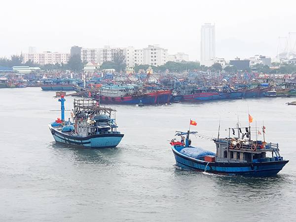 Nằm mơ thấy thuyền đánh con gì có ý nghĩa gì đặc biệt